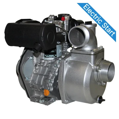 REEFE RDY48030E Yanmar L48 Diesel Transfer Pump with Electric Start