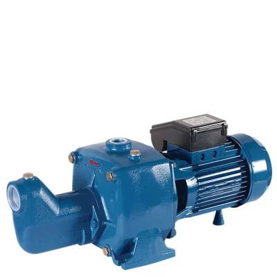 Reefe EJP-2 Shallow Well Jet Pump