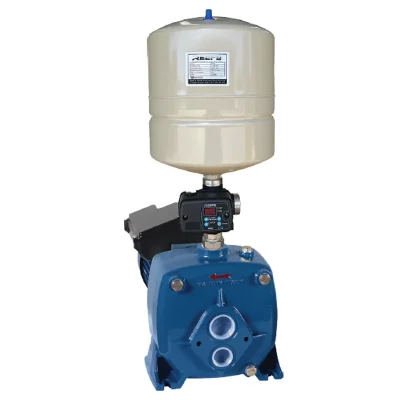 REEFE RDW-2.PTS Deep Well Pump w/ Pressure Tank, Switch & 5 Way Tee